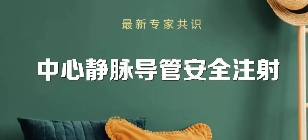 中心导管怎么使用最新专家共识 ｜ 中心静脉导管安全注射_https://www.jmylbn.com_新闻资讯_第1张