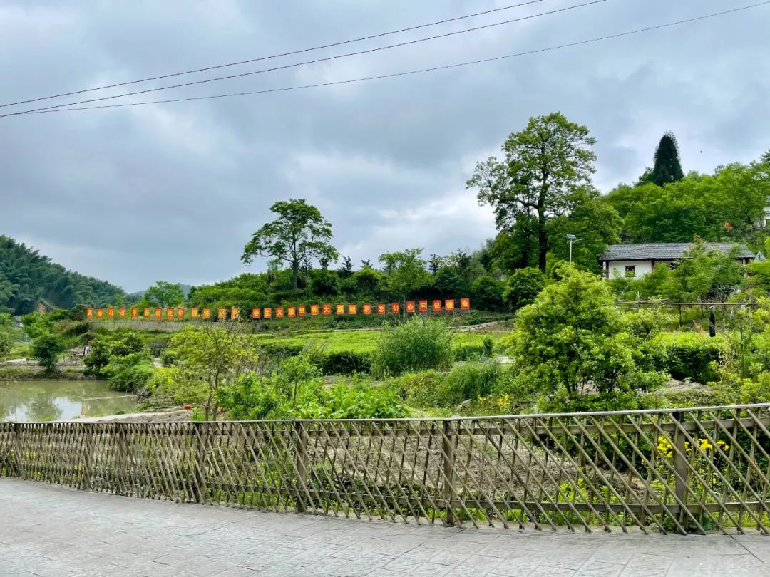 比餈粑越打越甜更甜的是井岡山神山村的笑容