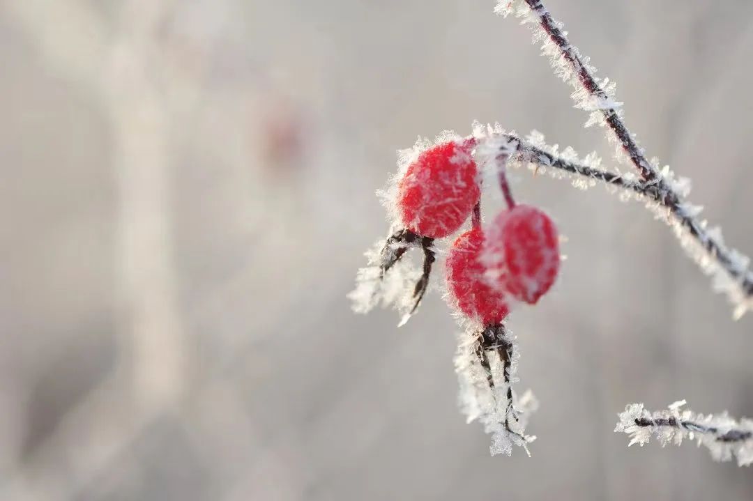 农安宝塔丨中国传统二十四节气 小雪