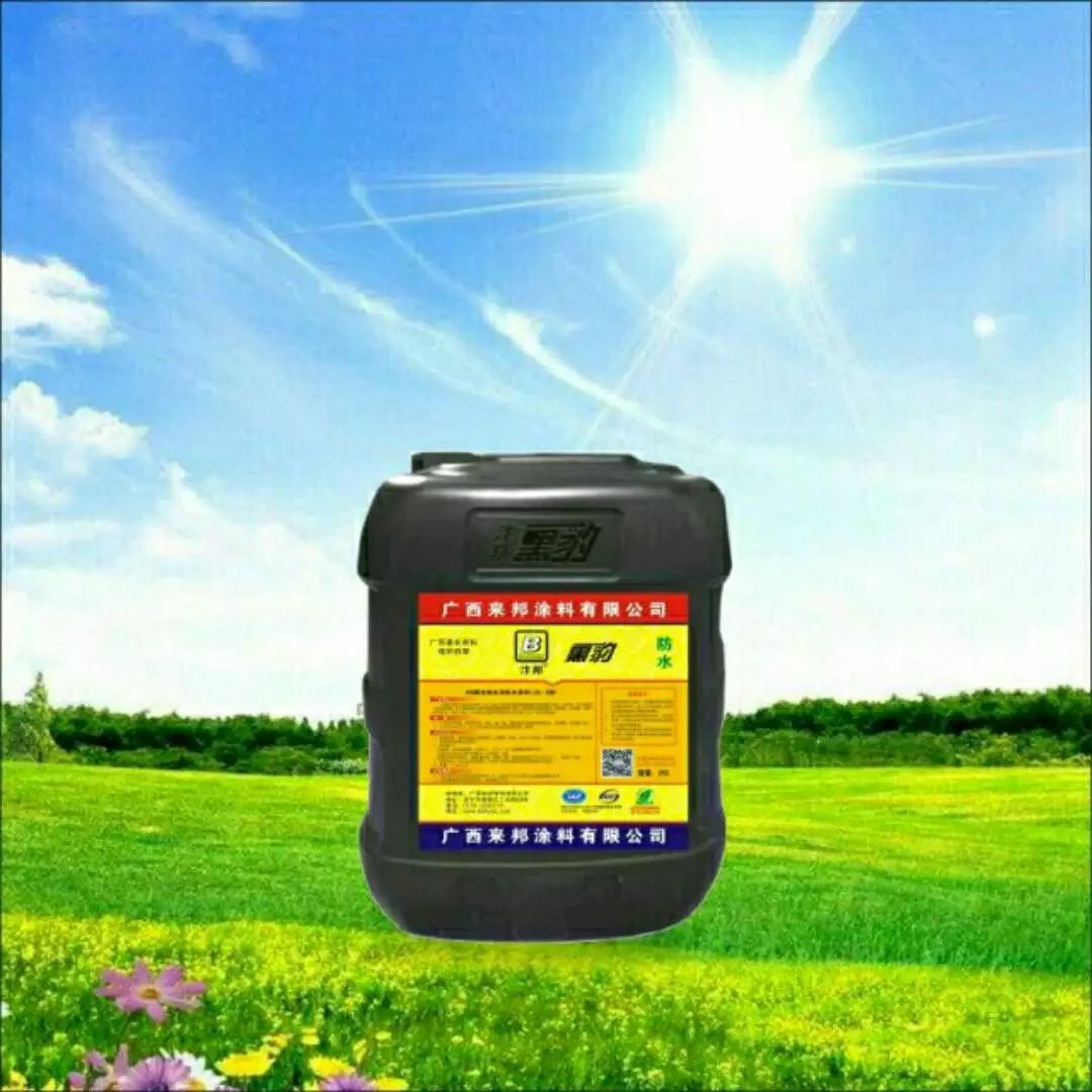 广西来邦涂料有限公司
