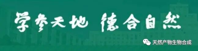 光哌嗪a D 来自一种稀有的海洋来源的链霉菌科放线菌 光敏互变二酮哌嗪对u87 胶质母细胞瘤细胞具有显著毒性和选择性的活性