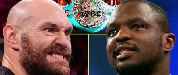 怀特苦去甘来终于熬成拳王富里的强制挑战者