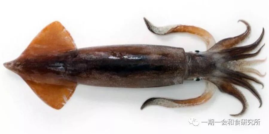 分享 认鱼识字 魚文字 金融读书会 微信公众号文章阅读 Wemp