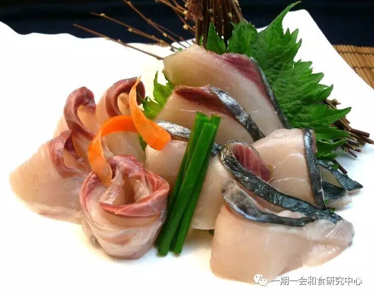 春季除了樱鲷还有鲅鱼