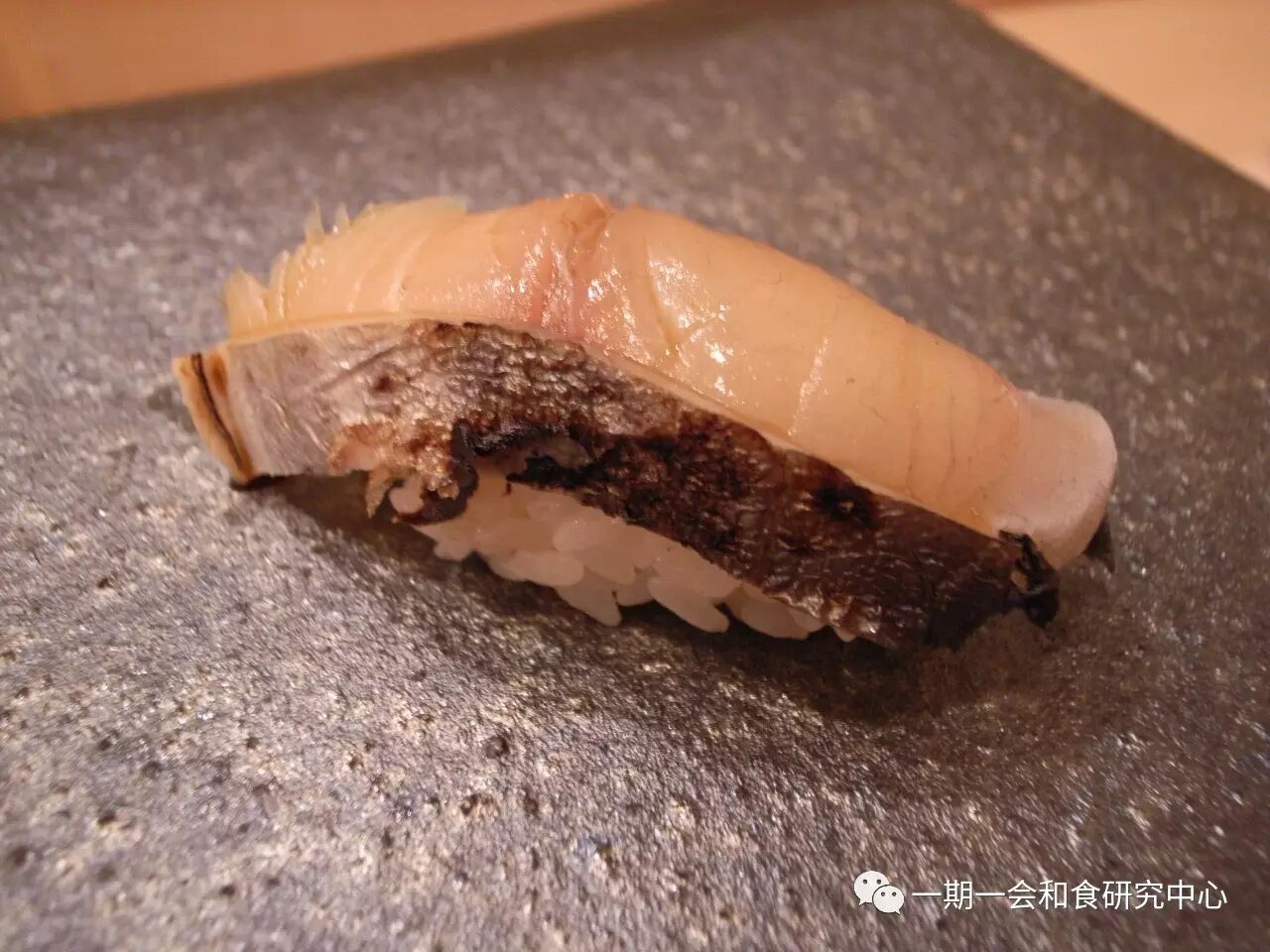 春季除了樱鲷还有鲅鱼