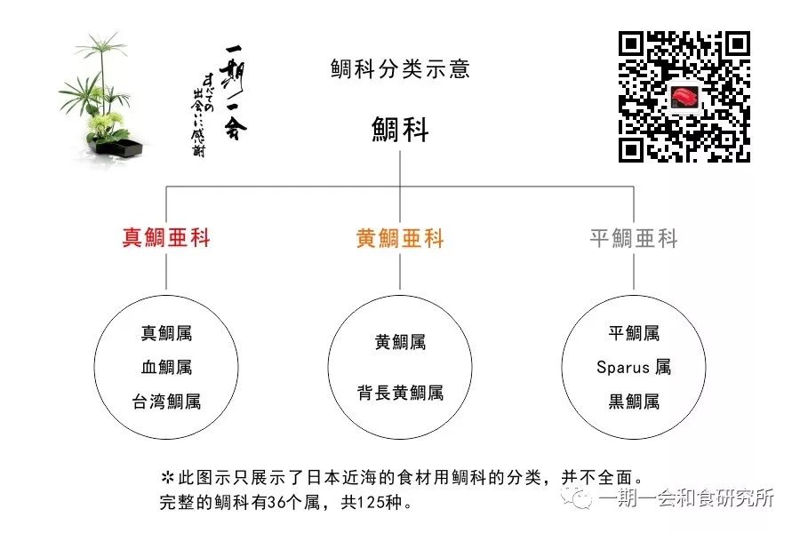 日本的代表鱼 鲷鱼 一期一会和食研究所 微信公众号文章阅读 Wemp