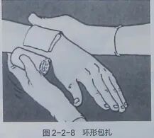 医用绷带为什么能止血【金豆培训】为外伤出血的患者包扎止血_https://www.jmylbn.com_新闻资讯_第5张