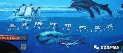 蓬莱极地海洋世界_蓬莱极地海洋世界门票价格_蓬莱极地海洋世界游玩时间