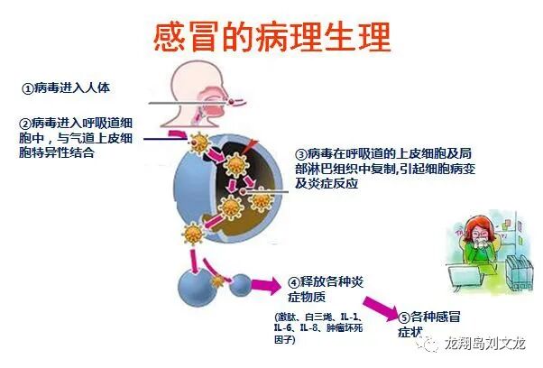 儿童感冒时，推荐使用的一些中成药