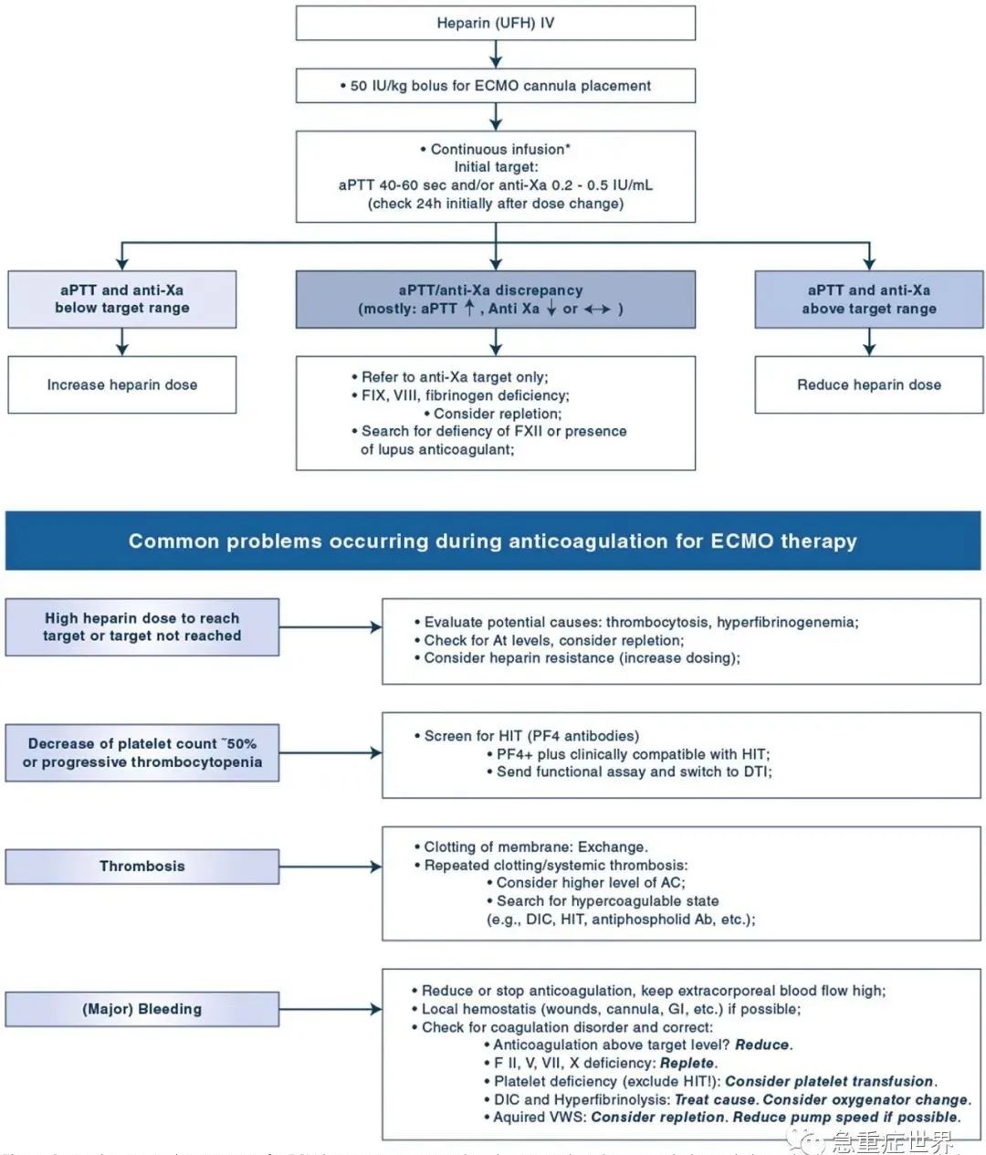 ICM：如何管理ECMO期间的抗凝？