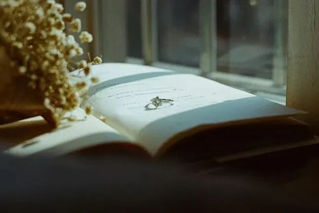 新西兰新西兰旅游签证_新西兰大鱼龙与易碎双腔龙_新西兰大鱼龙