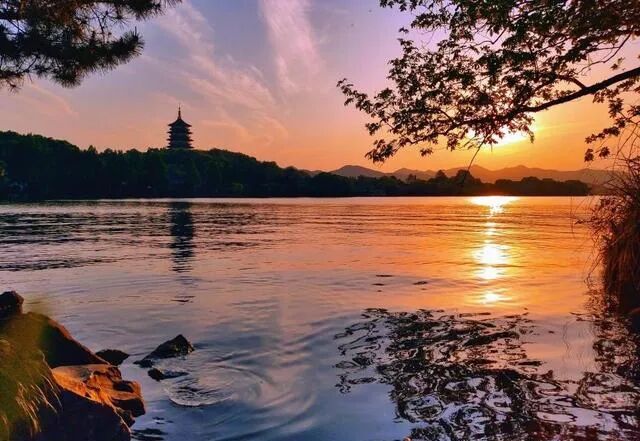 新西兰大鱼龙与易碎双腔龙_新西兰新西兰旅游签证_新西兰大鱼龙