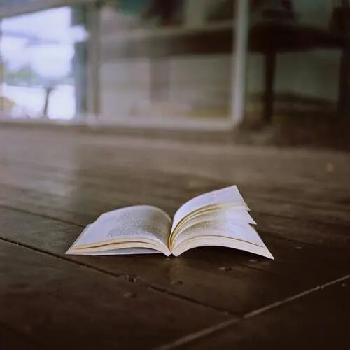 新西兰大鱼龙_新西兰大鱼龙与易碎双腔龙_新西兰新西兰旅游签证