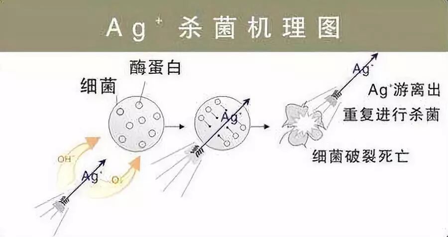 单质银为什么能抗菌涨知识了，银的作用竟然这么大！！！_https://www.jmylbn.com_新闻资讯_第6张
