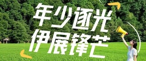 日常实习