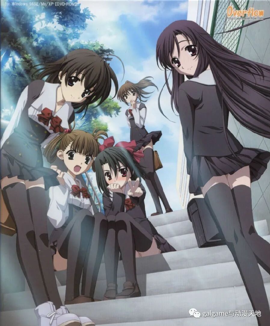 日在校园hq 重制版 抖音直播