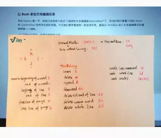 写给小白的第一份命令行工具bash教程