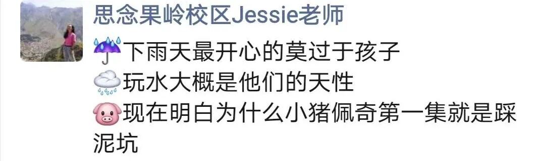 漫步在雨天里的枫叶小熊，你会看到什么样的画面？