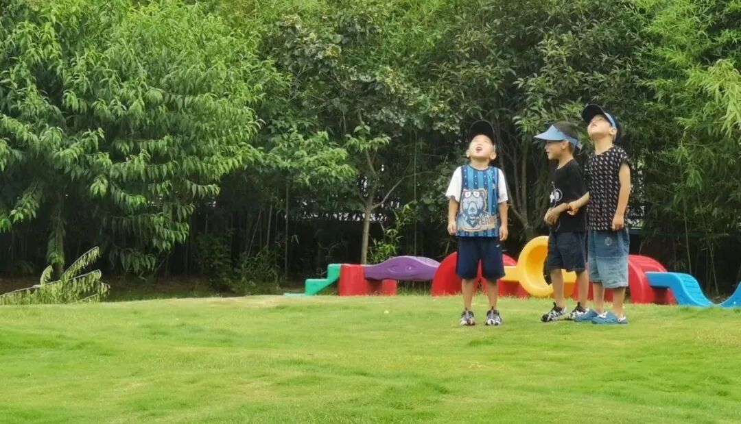 三个故事告诉你，孩子和老师究竟喜欢什么样的班级？| 小熊学院