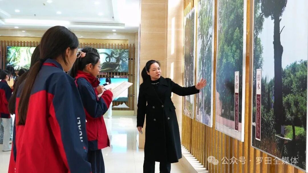 守护千年古树绿意 法治护航生态根基