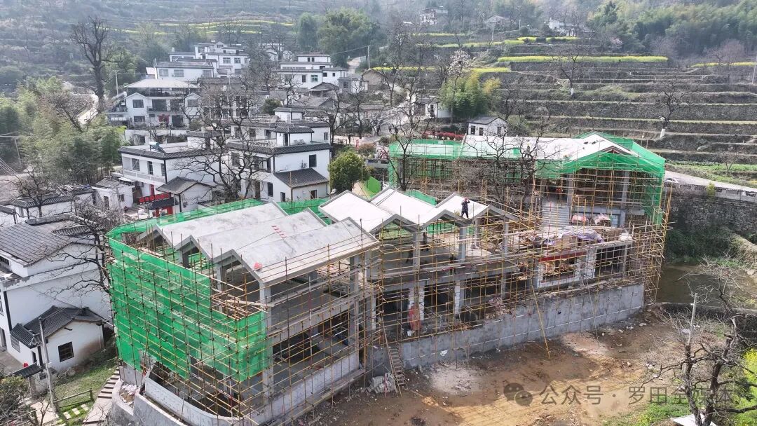 三里畈镇：实干聚合力 笃行启新程 绘就高质量发展新图景