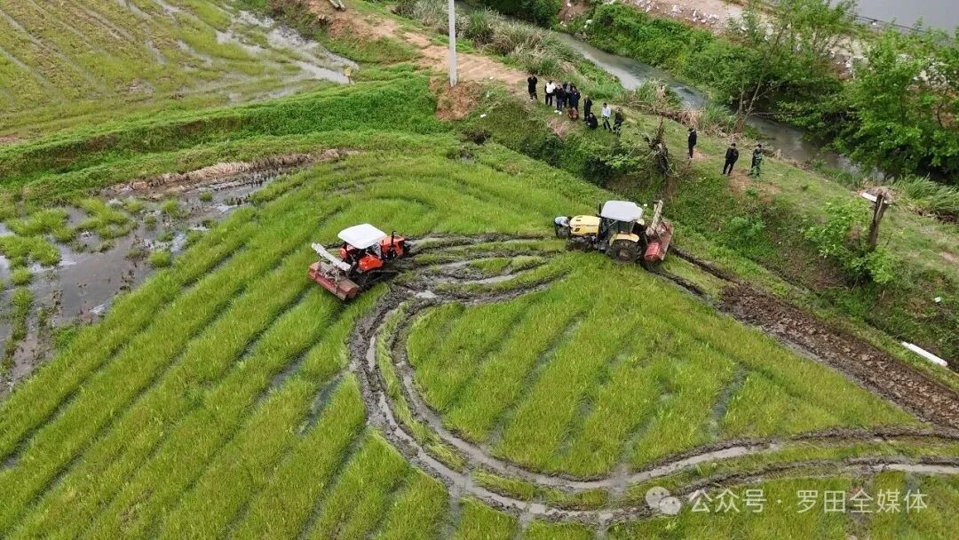 罗田县大力推广新型履带农机 让山地耕作“如履平地”