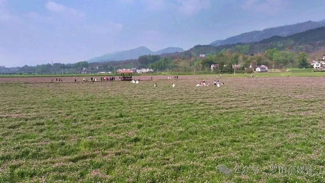凤山镇：北丰河畔春潮涌 产业发展势如虹