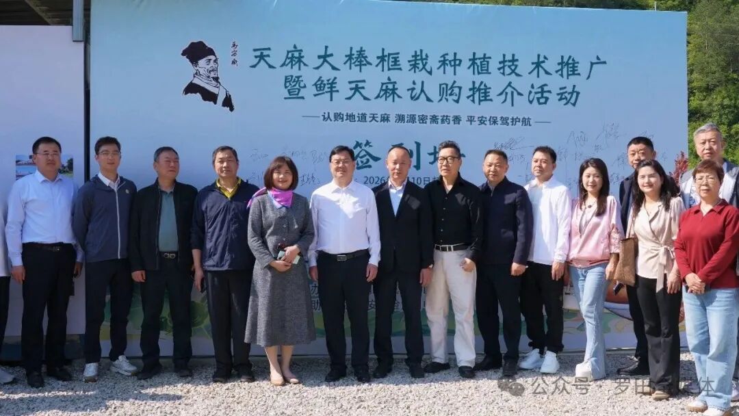 罗田县举办天麻大棒框栽种植技术推广暨天麻现场推介认购活动