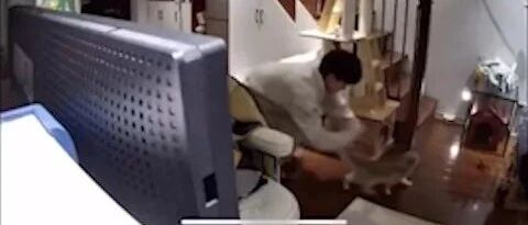 过年让朋友帮忙喂猫，他却不知道有监控。。。