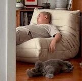 猫果然越养越像主人