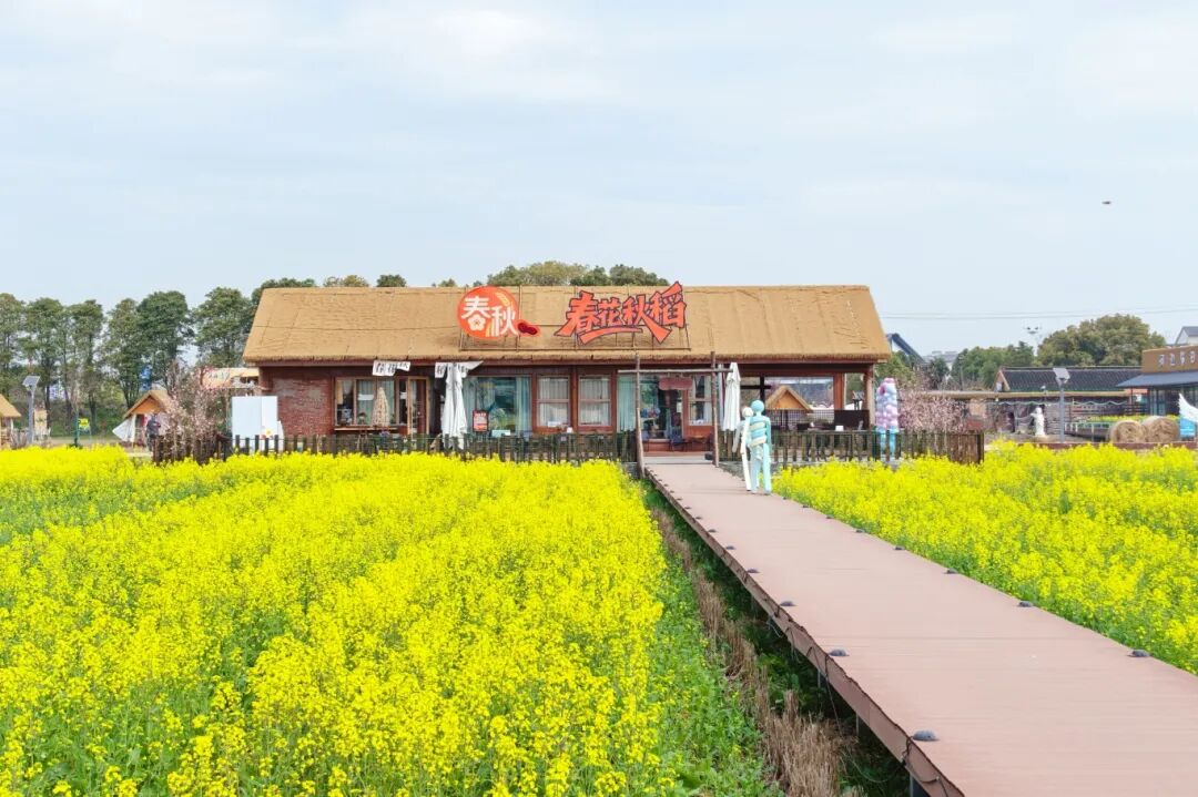 春花秋稻1.jpg