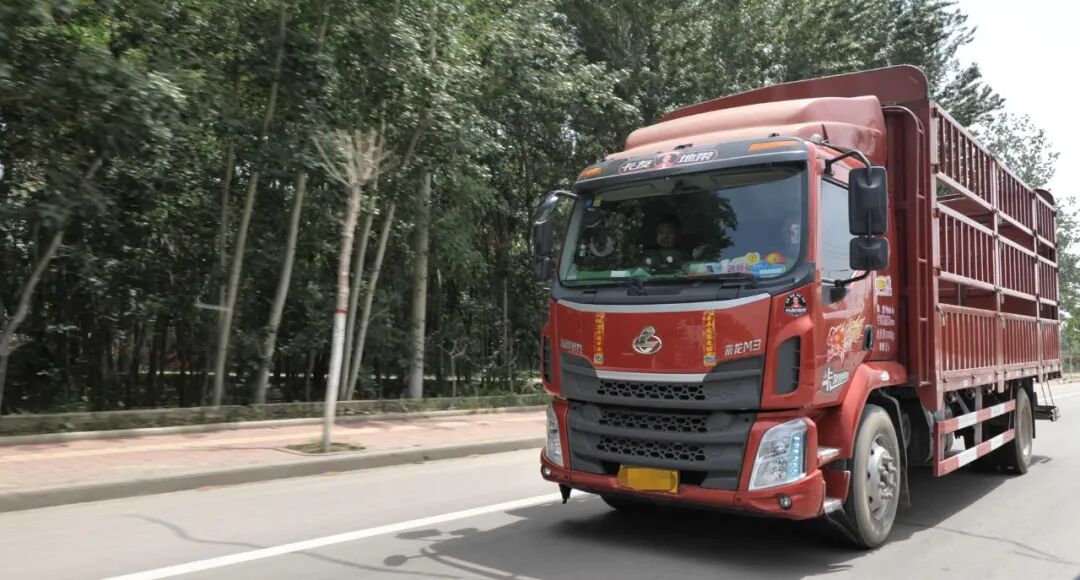 三次事故捡回三次命，这个80后车主为何敢把命交给乘龙M3？