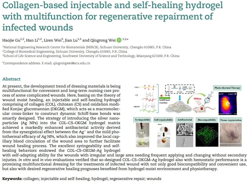 医用抗菌水凝胶怎么用RB 速递 ｜ 四川大学魏清荣副研究员团队：基于胶原蛋白的可注射自修复多功能水凝胶在感染性伤口再生修复中的应用_https://www.jmylbn.com_新闻资讯_第1张