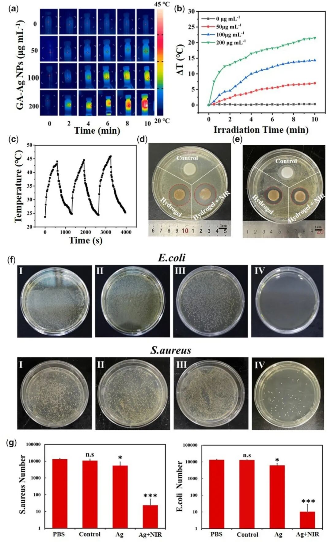 医用抗菌水凝胶怎么用RB 速递 ｜ 四川大学魏清荣副研究员团队：基于胶原蛋白的可注射自修复多功能水凝胶在感染性伤口再生修复中的应用_https://www.jmylbn.com_新闻资讯_第4张