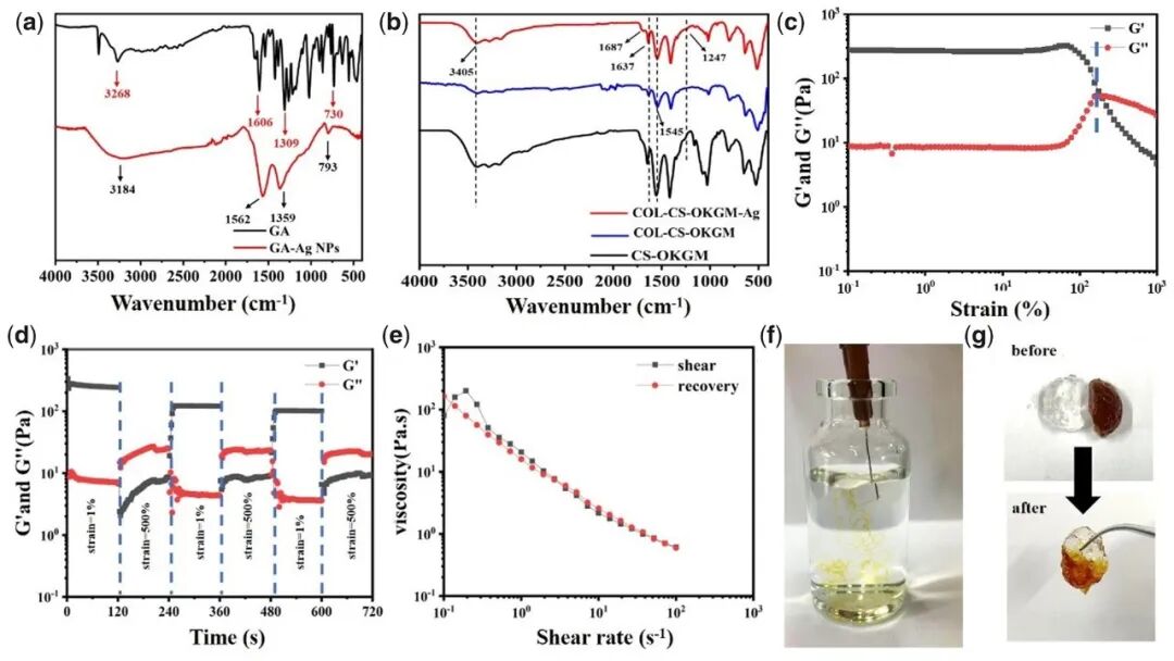 医用抗菌水凝胶怎么用RB 速递 ｜ 四川大学魏清荣副研究员团队：基于胶原蛋白的可注射自修复多功能水凝胶在感染性伤口再生修复中的应用_https://www.jmylbn.com_新闻资讯_第3张