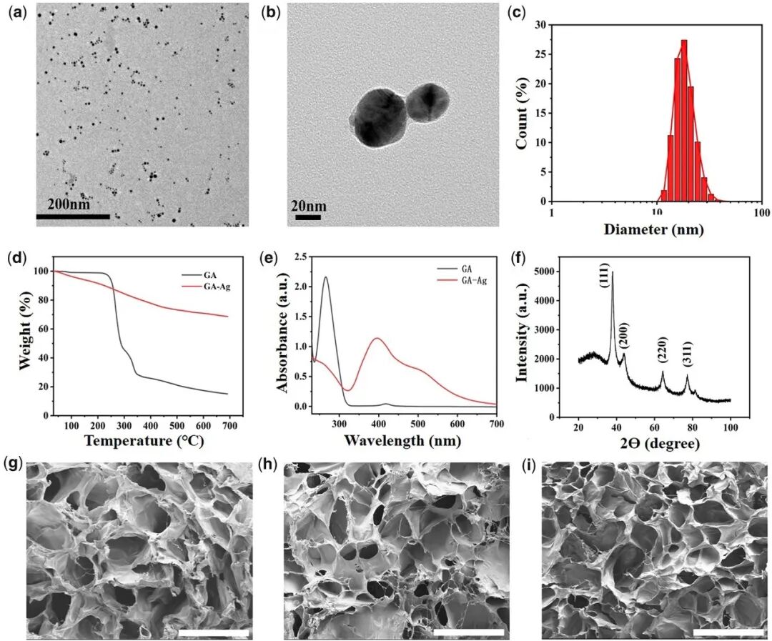 医用抗菌水凝胶怎么用RB 速递 ｜ 四川大学魏清荣副研究员团队：基于胶原蛋白的可注射自修复多功能水凝胶在感染性伤口再生修复中的应用_https://www.jmylbn.com_新闻资讯_第2张
