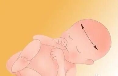 眼科ab超单怎么看B超单能看男女？超简单的方法教你看懂B超单的秘密！_https://www.jmylbn.com_新闻资讯_第3张