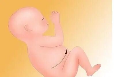 眼科ab超单怎么看B超单能看男女？超简单的方法教你看懂B超单的秘密！_https://www.jmylbn.com_新闻资讯_第7张