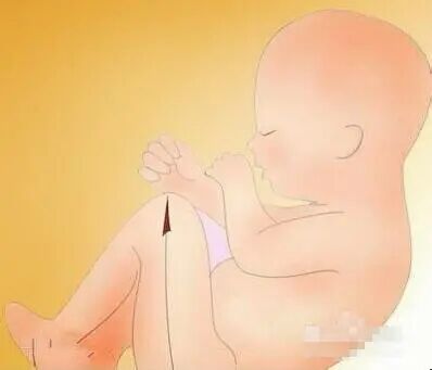 眼科ab超单怎么看B超单能看男女？超简单的方法教你看懂B超单的秘密！_https://www.jmylbn.com_新闻资讯_第5张