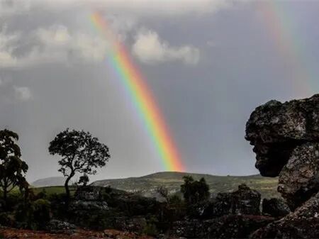 七彩梦境的启示，解析梦到七色彩虹的深层预示