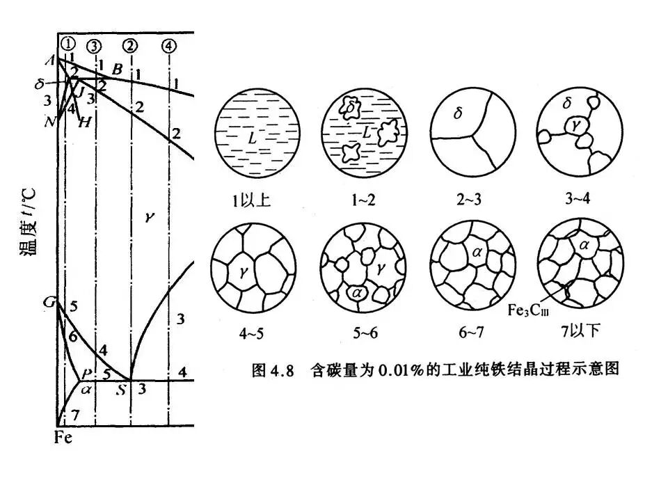 【材料课堂】金属与合金的晶体结构，共晶相图的图41