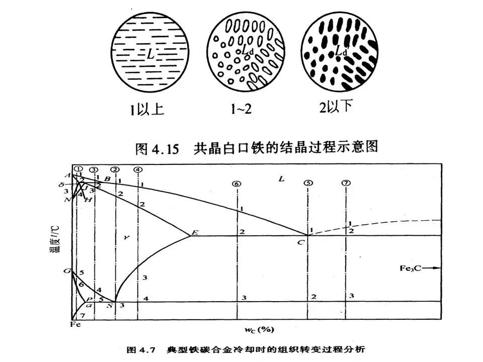 【材料课堂】金属与合金的晶体结构，共晶相图的图54