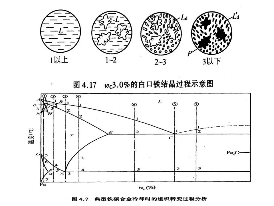 【材料课堂】金属与合金的晶体结构，共晶相图的图57