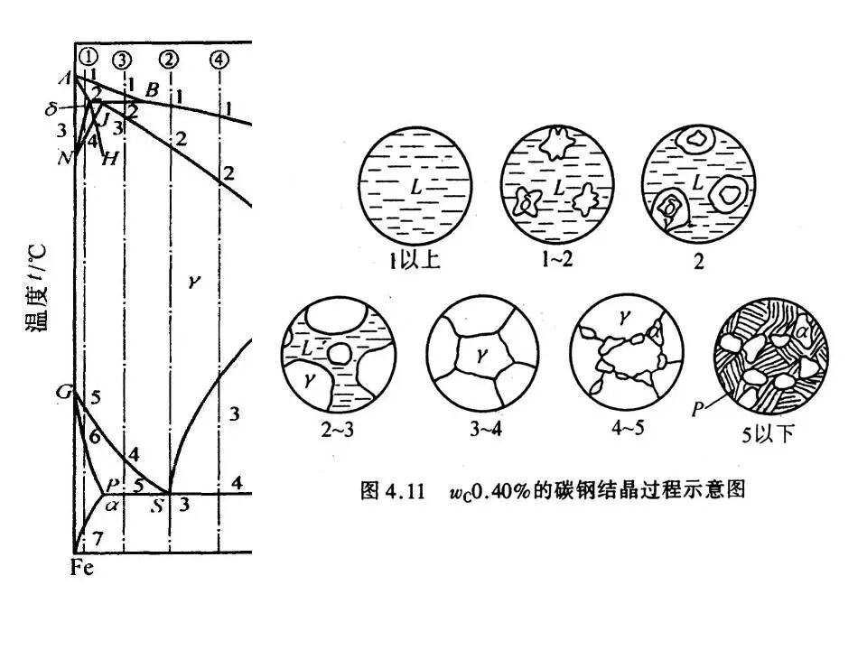 【材料课堂】金属与合金的晶体结构，共晶相图的图48