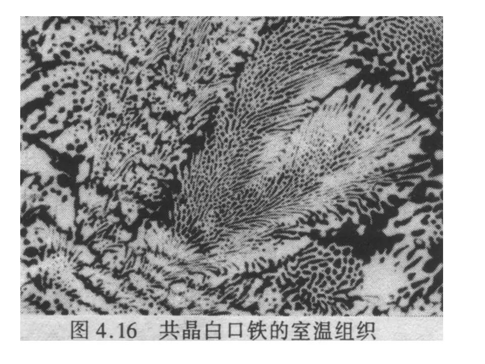 【材料课堂】金属与合金的晶体结构，共晶相图的图56