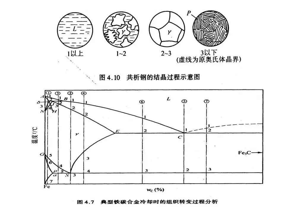 【材料课堂】金属与合金的晶体结构，共晶相图的图43