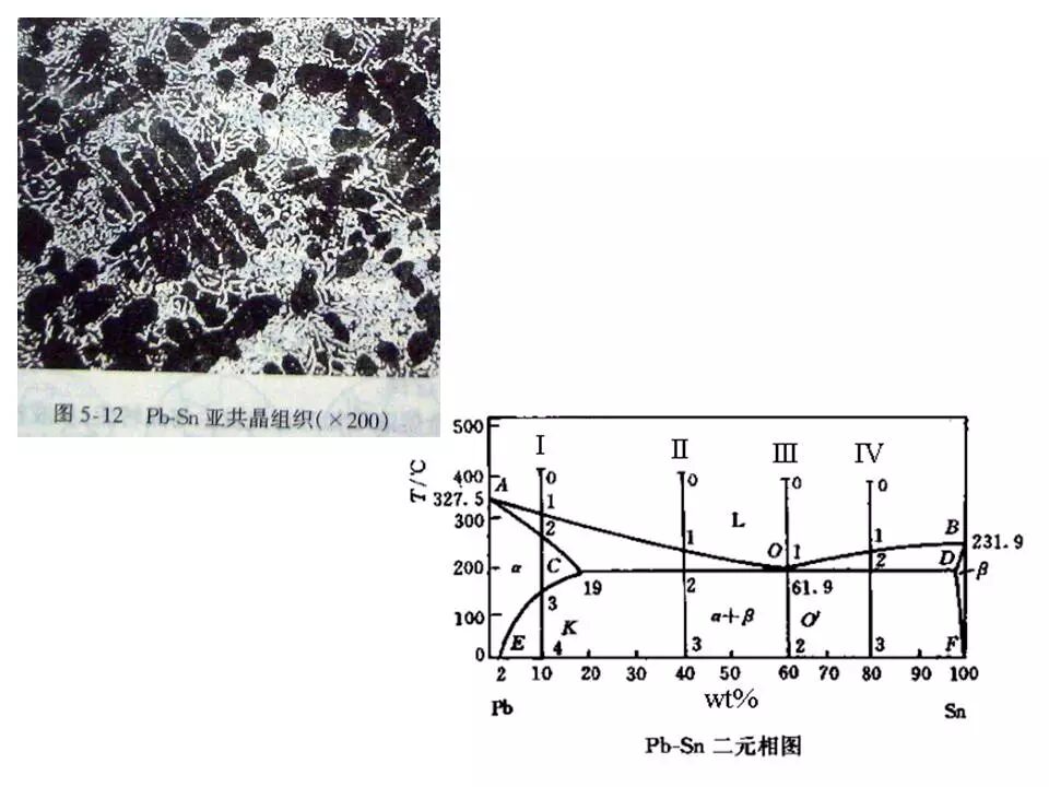 【材料课堂】金属与合金的晶体结构，共晶相图的图20