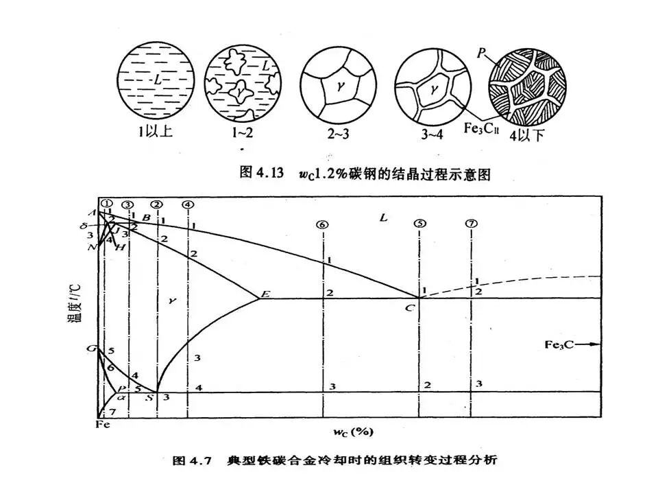 【材料课堂】金属与合金的晶体结构，共晶相图的图52