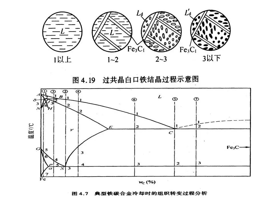 【材料课堂】金属与合金的晶体结构，共晶相图的图60