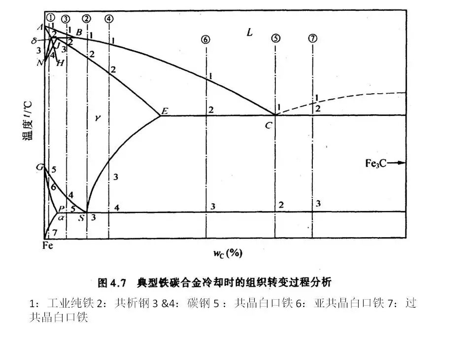 【材料课堂】金属与合金的晶体结构，共晶相图的图40